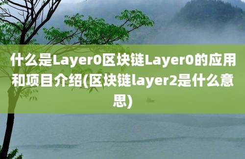 什么是Layer0区块链Layer0的应用和项目介绍(区块链layer2是什么意思)