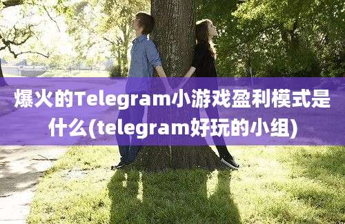 爆火的Telegram小游戏盈利模式是什么(telegram好玩的小组)