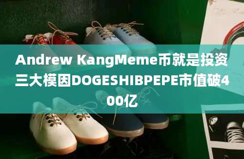 Andrew KangMeme币就是投资三大模因DOGESHIBPEPE市值破400亿