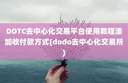 DOTC去中心化交易平台使用教程添加收付款方式(dodo去中心化交易所)