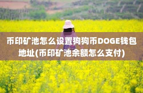 币印矿池怎么设置狗狗币DOGE钱包地址(币印矿池余额怎么支付)