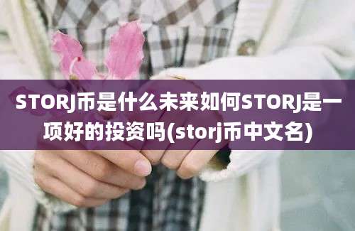 STORJ币是什么未来如何STORJ是一项好的投资吗(storj币中文名)