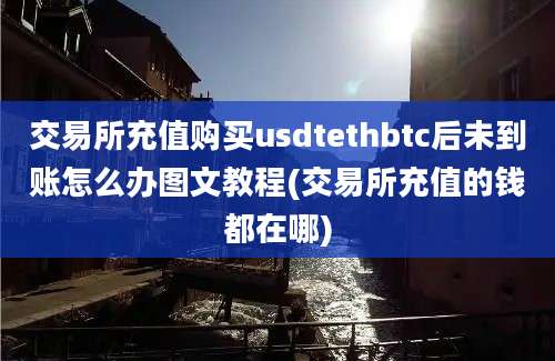 交易所充值购买usdtethbtc后未到账怎么办图文教程(交易所充值的钱都在哪)