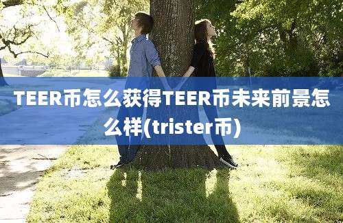 TEER币怎么获得TEER币未来前景怎么样(trister币)