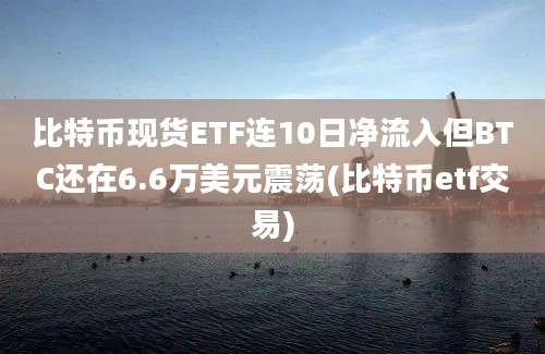 比特币现货ETF连10日净流入但BTC还在6.6万美元震荡(比特币etf交易)