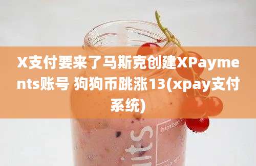 X支付要来了马斯克创建XPayments账号 狗狗币跳涨13(xpay支付系统)