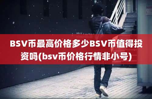 BSV币最高价格多少BSV币值得投资吗(bsv币价格行情非小号)