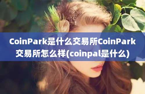 CoinPark是什么交易所CoinPark交易所怎么样(coinpal是什么)