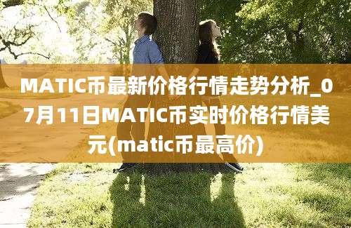 MATIC币最新价格行情走势分析_07月11日MATIC币实时价格行情美元(matic币最高价)