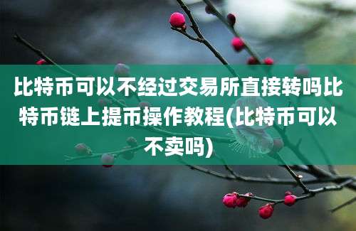 比特币可以不经过交易所直接转吗比特币链上提币操作教程(比特币可以不卖吗)