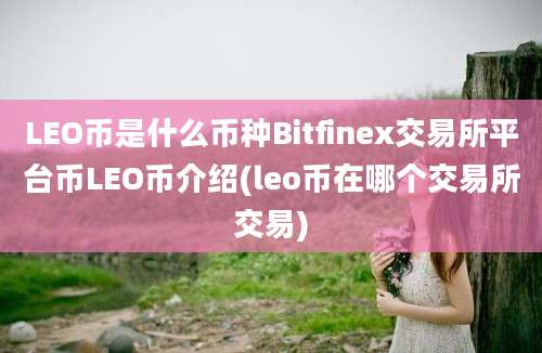 LEO币是什么币种Bitfinex交易所平台币LEO币介绍(leo币在哪个交易所交易)