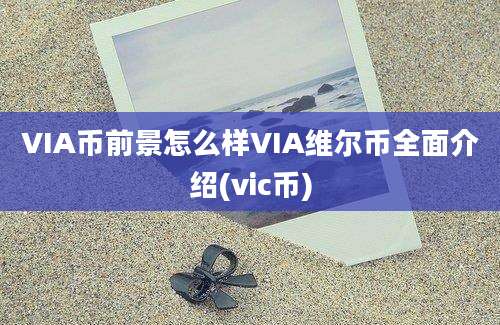 VIA币前景怎么样VIA维尔币全面介绍(vic币)