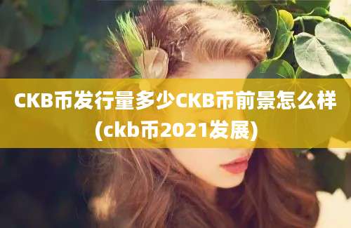 CKB币发行量多少CKB币前景怎么样(ckb币2021发展)