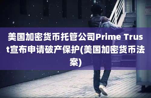 美国加密货币托管公司Prime Trust宣布申请破产保护(美国加密货币法案)