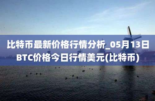 比特币最新价格行情分析_05月13日BTC价格今日行情美元(比特币)