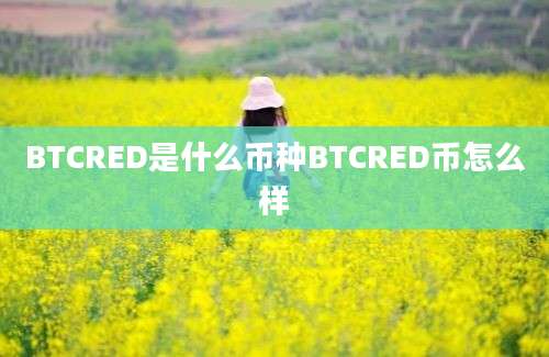 BTCRED是什么币种BTCRED币怎么样