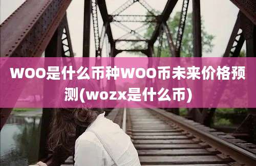 WOO是什么币种WOO币未来价格预测(wozx是什么币)