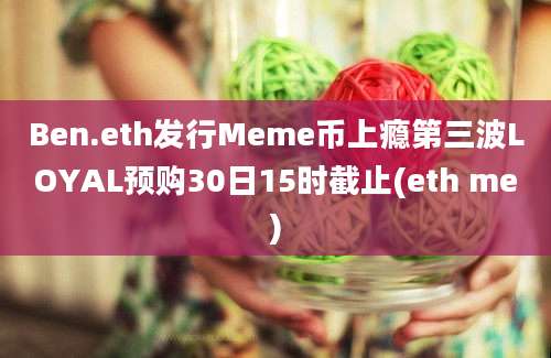 Ben.eth发行Meme币上瘾第三波LOYAL预购30日15时截止(eth me)