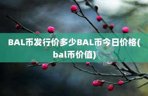 BAL币发行价多少BAL币今日价格(bal币价值)