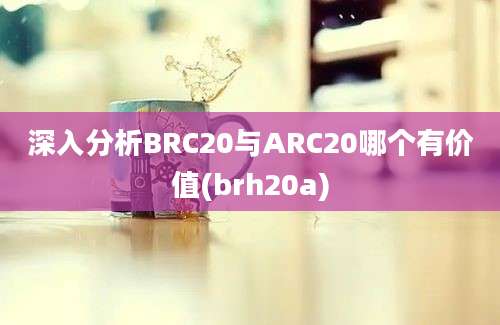 深入分析BRC20与ARC20哪个有价值(brh20a)