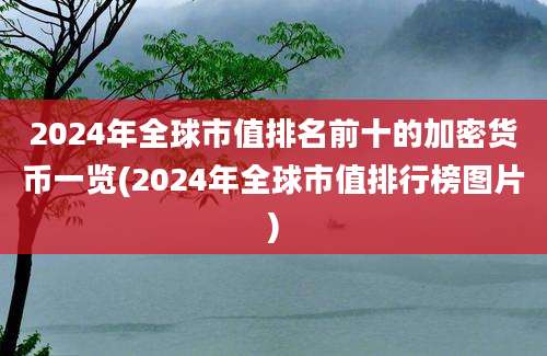 2024年全球市值排名前十的加密货币一览(2024年全球市值排行榜图片)