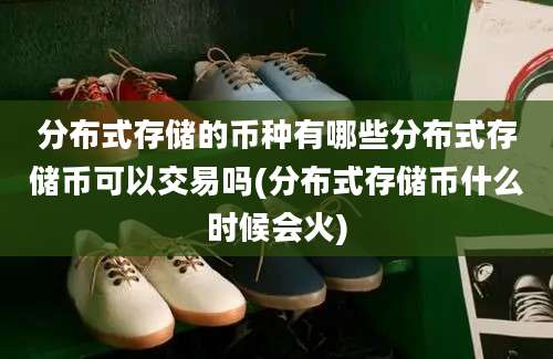 分布式存储的币种有哪些分布式存储币可以交易吗(分布式存储币什么时候会火)