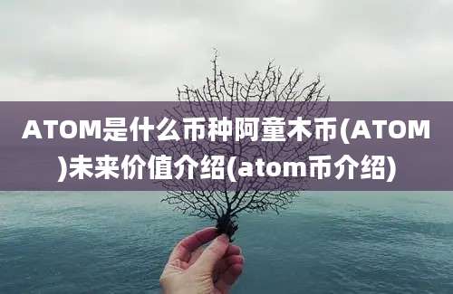 ATOM是什么币种阿童木币(ATOM)未来价值介绍(atom币介绍)