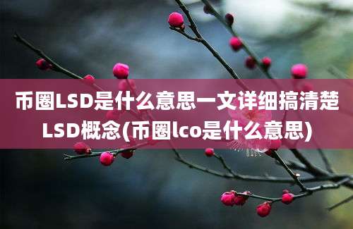 币圈LSD是什么意思一文详细搞清楚LSD概念(币圈lco是什么意思)