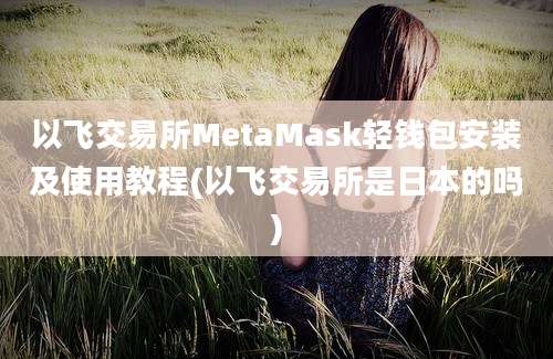 以飞交易所MetaMask轻钱包安装及使用教程(以飞交易所是日本的吗)