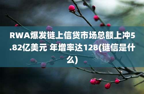 RWA爆发链上信贷市场总额上冲5.82亿美元 年增率达128(链信是什么)