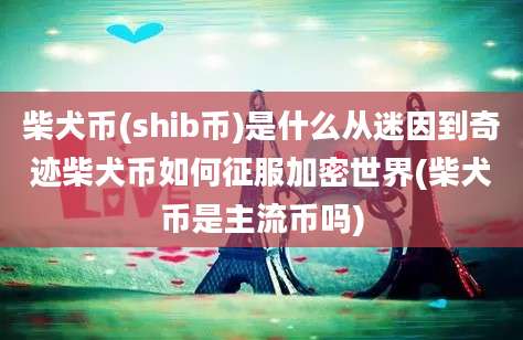 柴犬币(shib币)是什么从迷因到奇迹柴犬币如何征服加密世界(柴犬币是主流币吗)