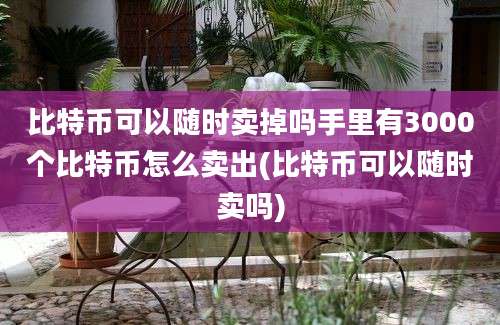 比特币可以随时卖掉吗手里有3000个比特币怎么卖出(比特币可以随时卖吗)