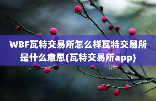 WBF瓦特交易所怎么样瓦特交易所是什么意思(瓦特交易所app)