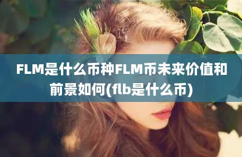 FLM是什么币种FLM币未来价值和前景如何(flb是什么币)