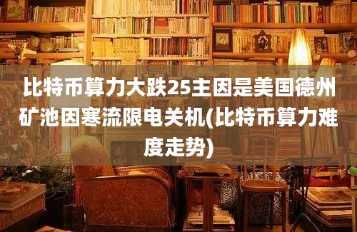 比特币算力大跌25主因是美国德州矿池因寒流限电关机(比特币算力难度走势)