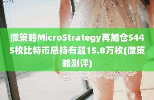 微策略MicroStrategy再加仓5445枚比特币总持有超15.8万枚(微策略测评)