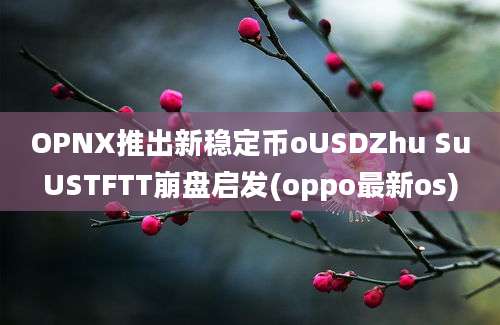 OPNX推出新稳定币oUSDZhu SuUSTFTT崩盘启发(oppo最新os)