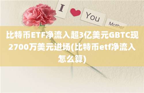 比特币ETF净流入超3亿美元GBTC现2700万美元进场(比特币etf净流入怎么算)