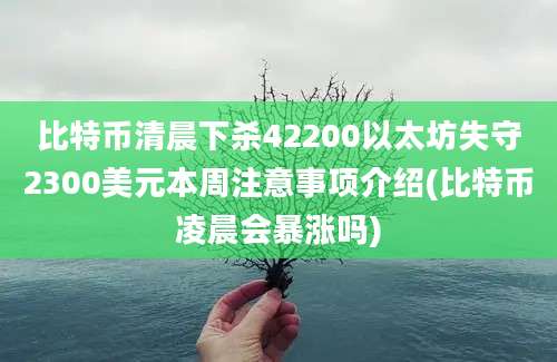 比特币清晨下杀42200以太坊失守2300美元本周注意事项介绍(比特币凌晨会暴涨吗)