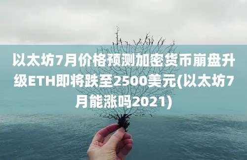 以太坊7月价格预测加密货币崩盘升级ETH即将跌至2500美元(以太坊7月能涨吗2021)