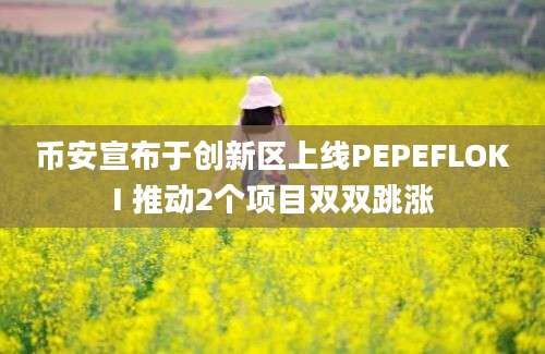 币安宣布于创新区上线PEPEFLOKI 推动2个项目双双跳涨