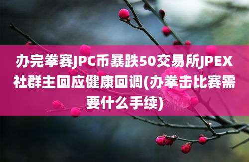 办完拳赛JPC币暴跌50交易所JPEX社群主回应健康回调(办拳击比赛需要什么手续)