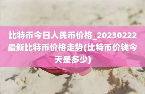 比特币今日人民币价格_20230222最新比特币价格走势(比特币价钱今天是多少)