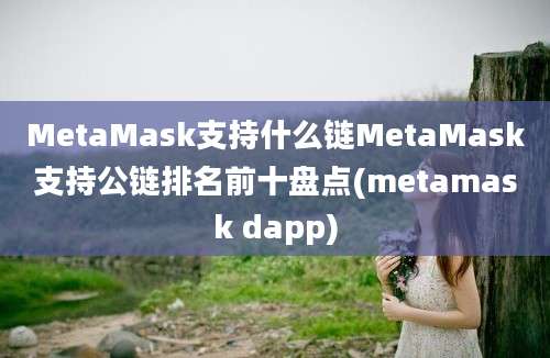 MetaMask支持什么链MetaMask支持公链排名前十盘点(metamask dapp)