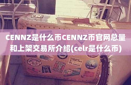 CENNZ是什么币CENNZ币官网总量和上架交易所介绍(celr是什么币)