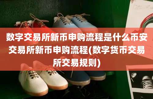 数字交易所新币申购流程是什么币安交易所新币申购流程(数字货币交易所交易规则)