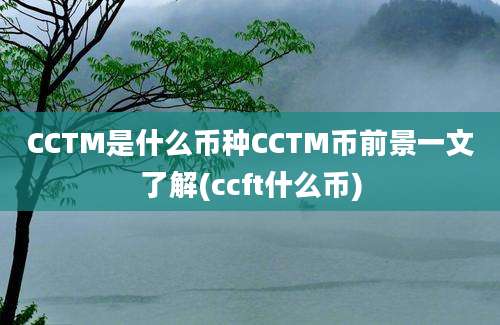 CCTM是什么币种CCTM币前景一文了解(ccft什么币)