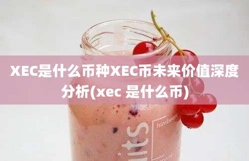 XEC是什么币种XEC币未来价值深度分析(xec 是什么币)