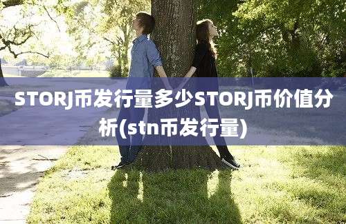 STORJ币发行量多少STORJ币价值分析(stn币发行量)