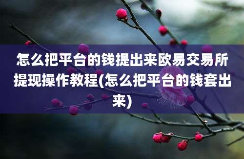 怎么把平台的钱提出来欧易交易所提现操作教程(怎么把平台的钱套出来)